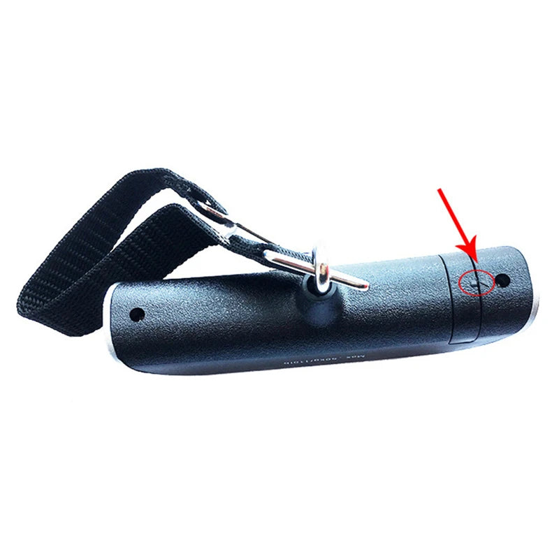 Balance portable affichage numérique LCD